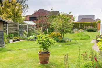 Lege pentru românii care stau la curte. Ce riscă proprietarii care nu respectă linia de hotar