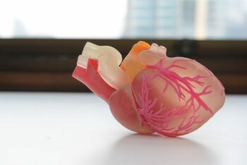 INTERVIU O nouă eră în cercetarea cancerului: cum transformă Vital3D modelele tumorale bioprintate – Vidmantas (…)