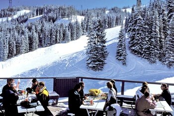 20 de aplicații de ajutor într-o călătorie în afara țării. Ce trebuie să ai neapărat instalat pe telefon