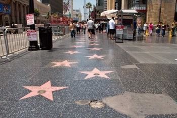 Noi vedete, inclusiv Timothée Chalamet și Marion Cotillard, vor primi stea pe Walk of Fame