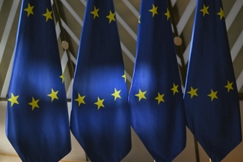Soia modificată genetic, aprobată de Comisia Europeană: e 'bună' de consum pentru oameni și animale