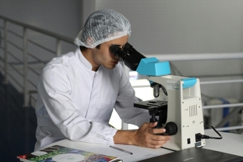 Primul creier 'viu' în miniatură creat în laborator: Are 7 milioane de neuroni și e cel mai bun 'cobai' pentru (…)