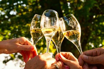 Momentul cel mai sănătos în care poți să bei un pahar de vin