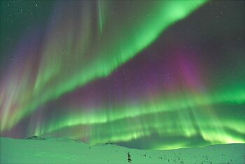 Zeci de persoane au avut nevoie de ajutor în Alaska din cauza taifunului Halong