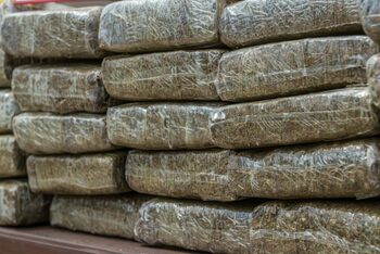 Fostul șef al unui cartel de droguri a pledat vinovat în SUA