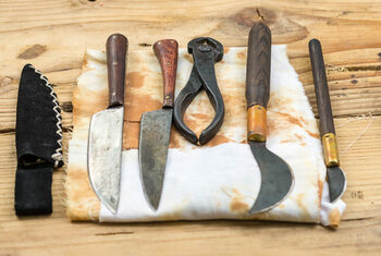 Practici dentare bizare din istorie: de la „viermii dinților” la pasta din șoareci