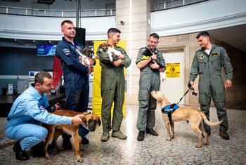 Câinii din adăposturi, vedete la Bucharest International Air Show. Mesaj pentru adopție responsabilă