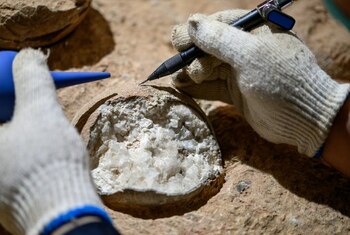 Descoperire uimitoare: Ouă de dinozaur, vechi de 86 de milioane de ani, au fost găsite în China. Planul autorităților