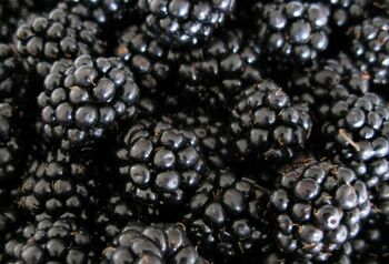 Mure, la preț de caviar! Cât a ajuns să coste un kilogram