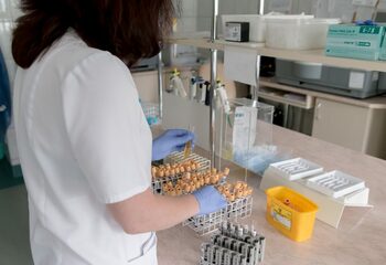 Boala Parkinson ar putea avea originea în rinichi, sugerează un nou studiu