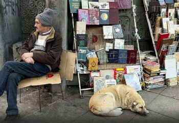 Singurul oraș din lume unde câinii vagabonzi trăiesc regește. Cum a reușit să integreze mii de maidanezi în piesajul (…)
