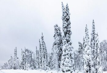 Ce înseamnă ruperea vortexului polar: apare la câţiva ani şi aduce schimbări climatice