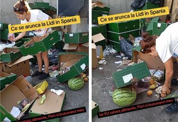 Ce ia o româncă zilnic din produsele aruncate de Lidl? Mulţi consideră că e gunoi. „Mândria costă. Eu nu mai vreau (…)