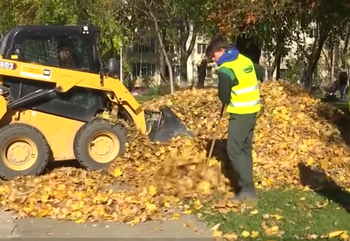 Gunoiul unora, comoara altora. Un sac de 20 de litri se vinde cu 16 lei