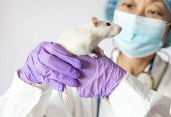 Un tratament a prelungit viața cu 73%, arată un nou studiu