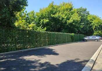 Lângă Grădina Botanică din Craiova au dispărut garajele, au apărut parcările