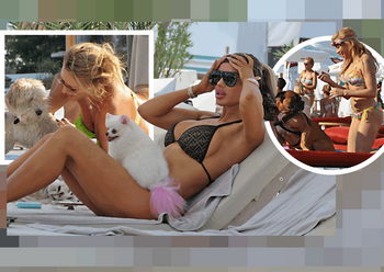 Top 25 vedete care și-au etalat costumele de baie, dar cățeii lor au făcut senzaţie! Delia, Bianca Drăgușanu sau (…)