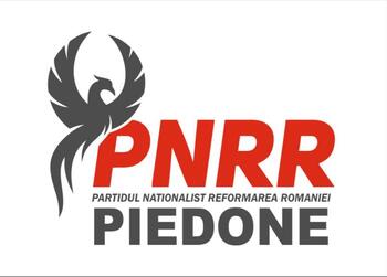Cristian Popescu Piedone anunță numele partidului său: Partidul Naționalist Reformarea României