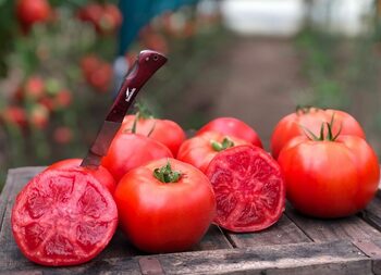 Cum să păstrezi semințele de roșii ca să le poți planta anul viitor. Trucuri pentru o recoltă mai bogată