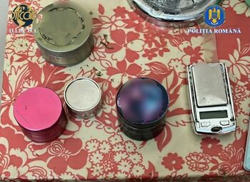 Percheziții în Bihor, în două dosare de trafic de droguri. 4 suspecți ar fi vândut canabis în Oradea