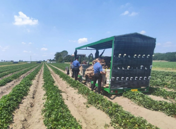 Sfârșit înfiorător pentru o româncă din diaspora: A murit zdrobită de tractor, într-o fermă din Italia