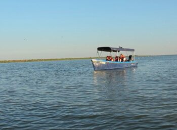 Un nou incident pe Dunăre. O barcă cu doi bărbați și doi copii nu a reușit să acosteze la mal