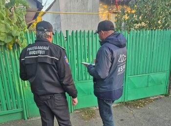 ASPA și Poliția Locală continuă acțiunile de informare și control privind deținerea legală a câinilor în Sectorul 1