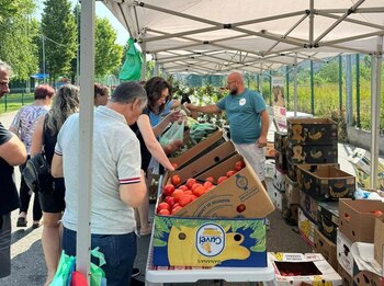 Legumicultorii evită cooperativele și la 35 ani de la destrămarea CAP-urilor. „Supermarketurile nu vin la fiecare (…)