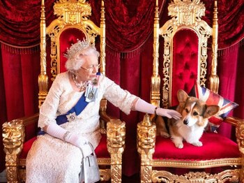 Palatul Buckingham anunță ce se va întâmpla cu faimoșii câini corgi ai reginei Elisabeta II, după ce prințului (…)