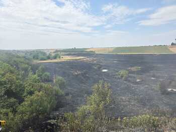Incendiu de vegetație în Leș: pompierii intervin pentru stingerea flăcărilor întinse pe 5 hectare