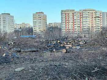 Ministrul Mediului: Tăierile ilegale de arbori din spațiile verzi urbane trebuie să devină infracțiuni