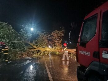 Aproximativ 26.000 de angajați ai MAI au fost la datorie în ultimele 24 de ore pentru siguranța cetățenilor!