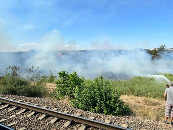 FOTO Incendiu de vegetație blochează circulația feroviară după stația CFR Medgidia – martor