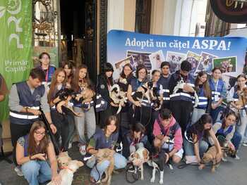 ASPA: 8 căței, adoptați sâmbătă la târgul organizat la Tucano Coffee Romania – Dorobanți