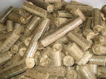 O societate a Primăriei Craiova face brichete de foc în Parcul Tineretului