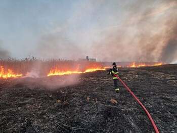 Incendiu de proporții în Brăila: peste 150 de hectare de culturi arse între Muchea și Siliștea