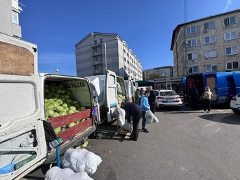 Produsul care a asigurat an de an profit îi lasă în 2025 cu mâna la inimă pe legumicultori. „Era cultura care ne (…)