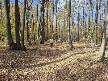 Aromaterapie naturală în inima pădurii. Locul din România unde natura devine lecție și leac