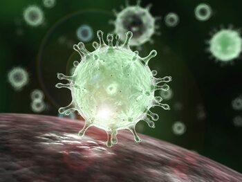 Epidemie de COVID-19 în Honduras, funcţionarii revin la telemuncă