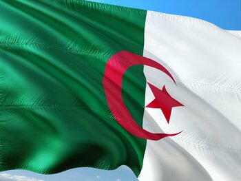 Jurnalist sportiv francez condamnat la şapte ani de închisoare, în Algeria, pentru „apologia terorismului”