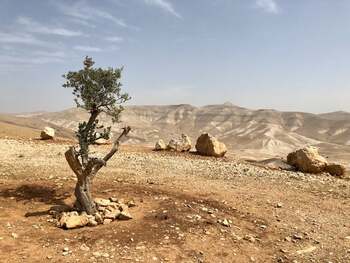 Fitilele unor lămpi cu ulei, vechi de 4.000 de ani, descoperite în Israel