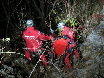 Maramureș: Ucrainean aflat în munte de șapte zile, găsit de culegătorii de ciuperci