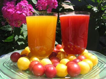Nectar de corcodușe