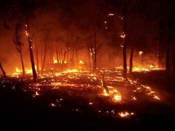 Un pompier a murit în Spania, în urma răsturnării unei cisterne în timpul unei intervenţii împotriva unui incendiu (…)