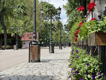 Vești proaste pentru bucureșteni: amenzile pentru distrugerea spațiilor verzi ar putea crește de până la 50 de ori