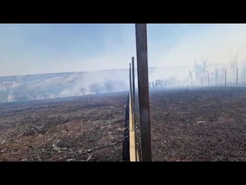 (Video) O anexă și două autoturisme, afectate de un incendiu de vegetație, la Bucovăț
