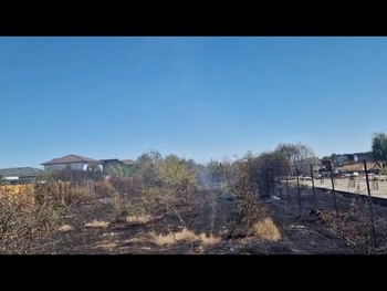 (VIDEO) Incendiu de vegetație uscată la Podari