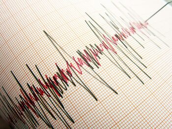 CUTREMUR, marți seară, în zona Vrancea. Seismul s-a produs la adâncimea de 60 de kilometri, în apropierea a șase orașe