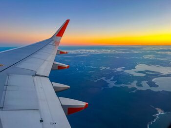 Întârziere de două ore pentru pasagerii unui avion din Australia, după ce un șarpe a fost găsit la bord