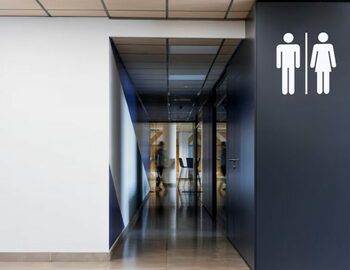 Cum arată toaleta publică de 64.000 de euro cumpărată de primăria unei mici localități. Ce dotări are